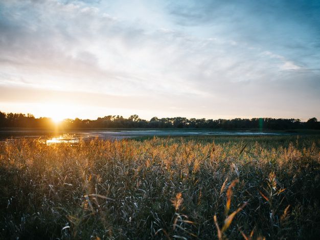 Sonnenuntergang über den Fischteichen Messdunk