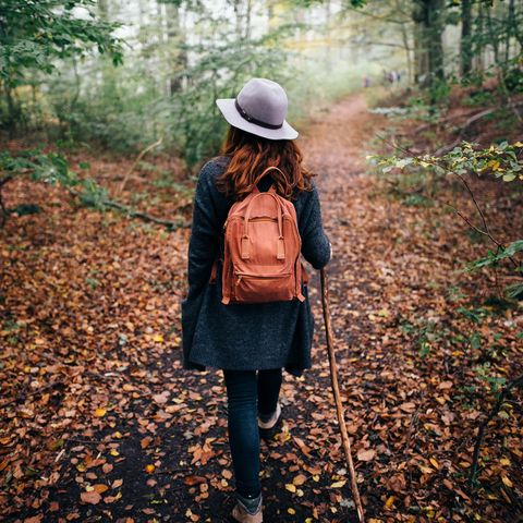 Wanderzeit im Herbst im Havelland