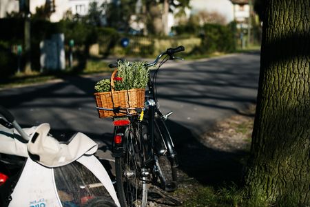 Fahrrad mit Kräutern im Korb