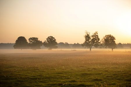 Nebel über den Luchwiesen im Havelland