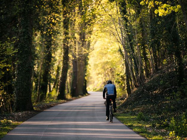 Radfahrer auf dem Havel-Radweg Radfahrer auf dem Havel-Radweg