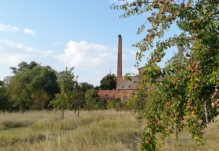 Birnengarten an der Alten Brennerei Ribbeck