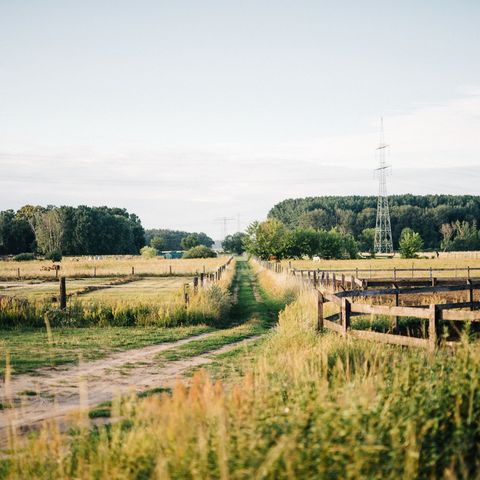 Pferdekoppel am Stadtrand Falkensee